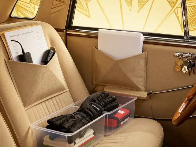 Организация пространства в салоне автомобиля: бюджетные системы хранения